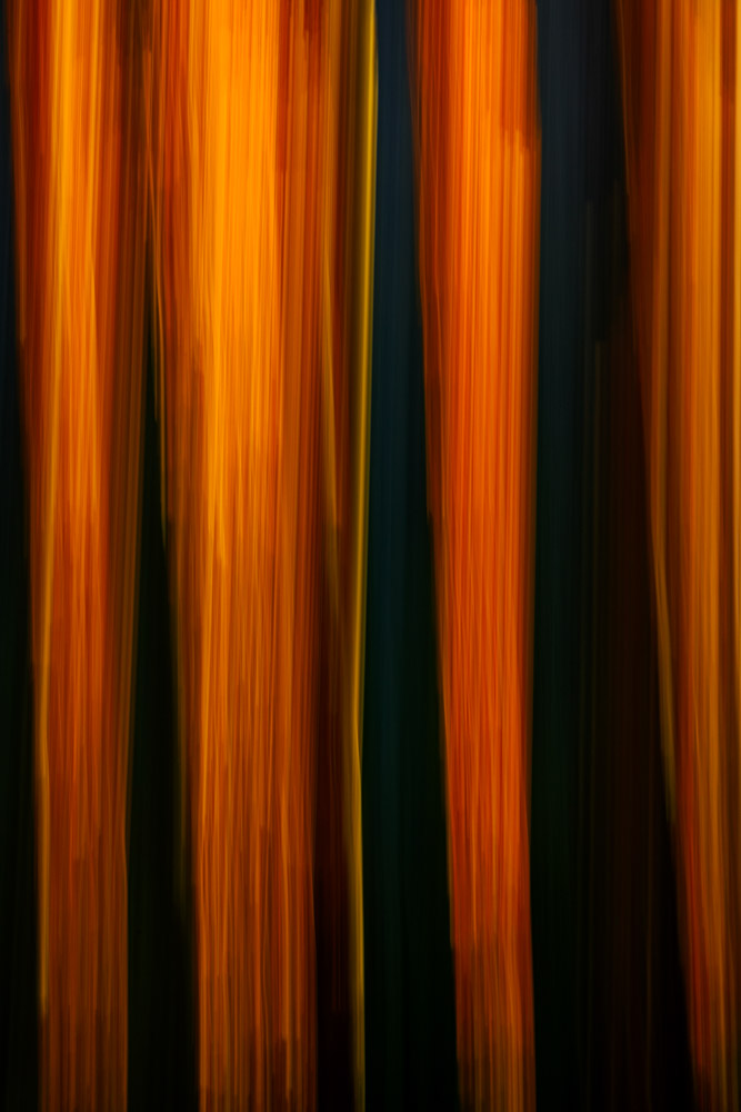 Platz 5 Robert Seitz